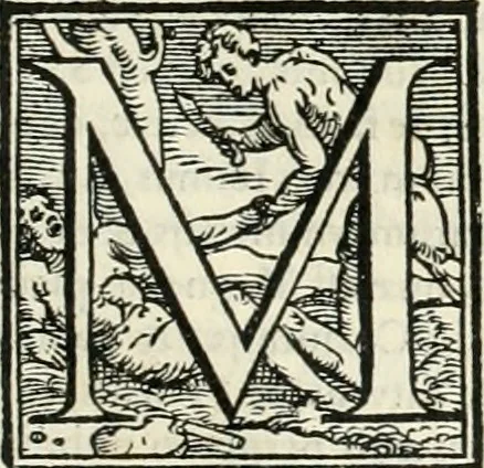 An illustration from M. Vitrvvii Pollionis De architectura libri decem, 1567, leaf 254