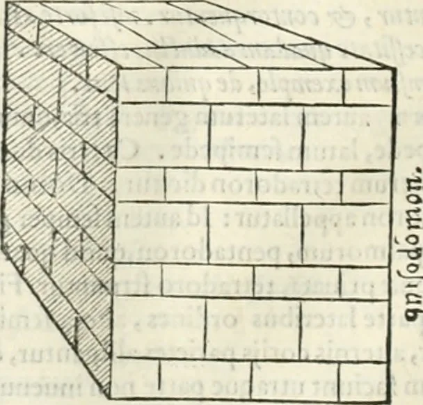 An illustration from M. Vitrvvii Pollionis De architectura libri decem, 1567, leaf 77