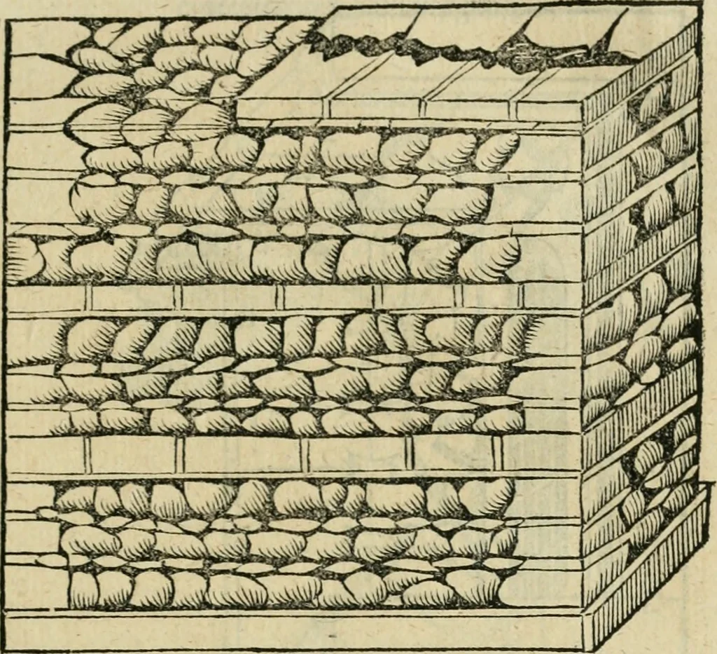An illustration from M. Vitrvvii viri svae professionis pertissimi De architectvra libri decem, ad Avgvstum Cæsarem accuratiss. conscripsit & nvnc primvm in Germania qva potuit diligentia excusi, atq[ue] hinc inde schematibus non iniucundis exornati, 1543, leaf 104