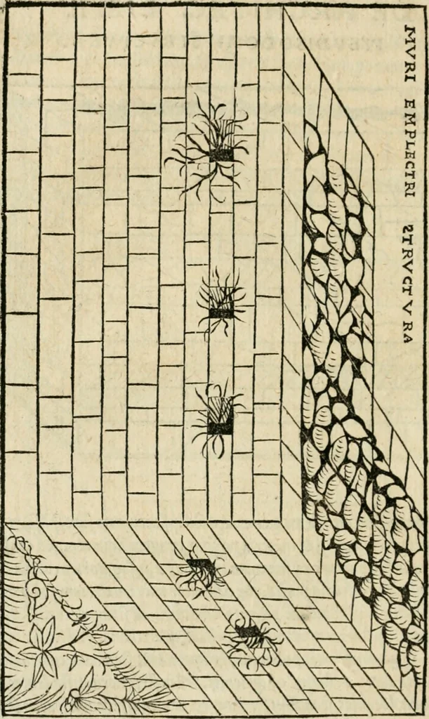 An illustration from M. Vitrvvii viri svae professionis pertissimi De architectvra libri decem, ad Avgvstum Cæsarem accuratiss. conscripsit & nvnc primvm in Germania qva potuit diligentia excusi, atq[ue] hinc inde schematibus non iniucundis exornati, 1543, leaf 109