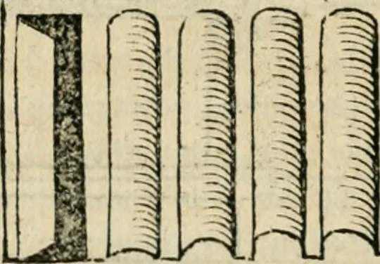 An illustration from M. Vitrvvii viri svae professionis pertissimi De architectvra libri decem, ad Avgvstum Cæsarem accuratiss. conscripsit & nvnc primvm in Germania qva potuit diligentia excusi, atq[ue] hinc inde schematibus non iniucundis exornati, 1543, leaf 147