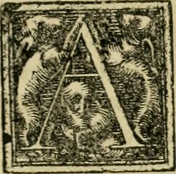 An illustration from M. Vitrvvii viri svae professionis pertissimi De architectvra libri decem, ad Avgvstum Cæsarem accuratiss. conscripsit & nvnc primvm in Germania qva potuit diligentia excusi, atq[ue] hinc inde schematibus non iniucundis exornati, 1543, leaf 194