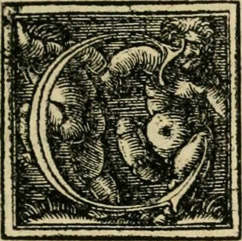An illustration from M. Vitrvvii viri svae professionis pertissimi De architectvra libri decem, ad Avgvstum Cæsarem accuratiss. conscripsit & nvnc primvm in Germania qva potuit diligentia excusi, atq[ue] hinc inde schematibus non iniucundis exornati, 1543, leaf 56