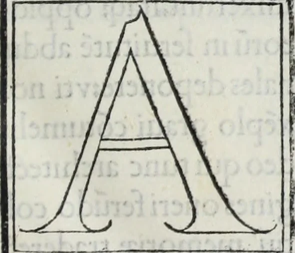 An illustration from M. Vitrvvivs per Iocvndvm solito castigatior factvs cvm figvris et tabvla vt iam legi et intelligi possit, 1511, leaf 12