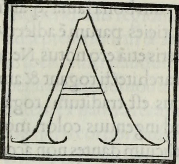 An illustration from M. Vitrvvivs per Iocvndvm solito castigatior factvs cvm figvris et tabvla vt iam legi et intelligi possit, 1511, leaf 124