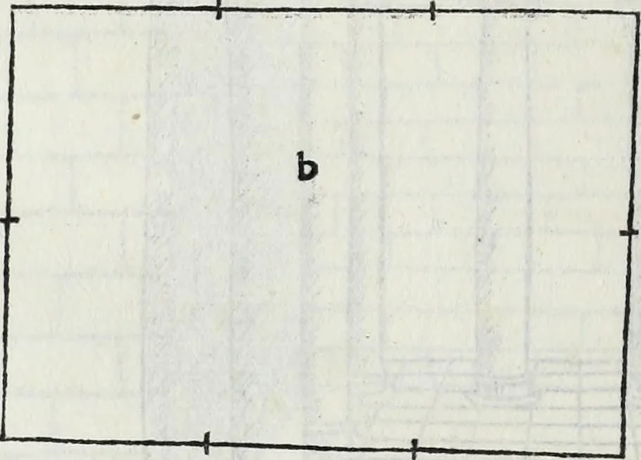 An illustration from M. Vitrvvivs per Iocvndvm solito castigatior factvs cvm figvris et tabvla vt iam legi et intelligi possit, 1511, leaf 135
