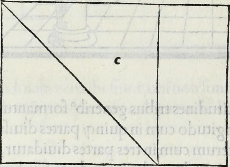 An illustration from M. Vitrvvivs per Iocvndvm solito castigatior factvs cvm figvris et tabvla vt iam legi et intelligi possit, 1511, leaf 135