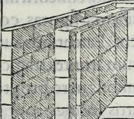 An illustration from M. Vitrvvivs per Iocvndvm solito castigatior factvs cvm figvris et tabvla vt iam legi et intelligi possit, 1511, leaf 154