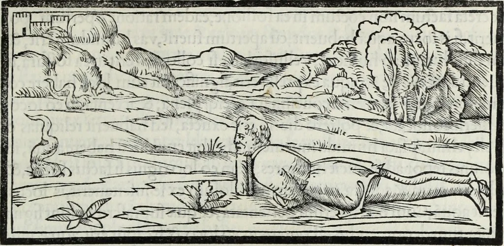 An illustration from M. Vitrvvivs per Iocvndvm solito castigatior factvs cvm figvris et tabvla vt iam legi et intelligi possit, 1511, leaf 162