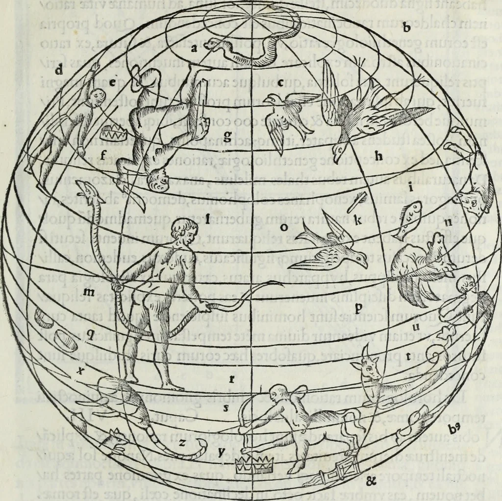 An illustration from M. Vitrvvivs per Iocvndvm solito castigatior factvs cvm figvris et tabvla vt iam legi et intelligi possit, 1511, leaf 190