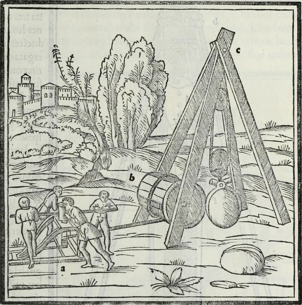 An illustration from M. Vitrvvivs per Iocvndvm solito castigatior factvs cvm figvris et tabvla vt iam legi et intelligi possit, 1511, leaf 202