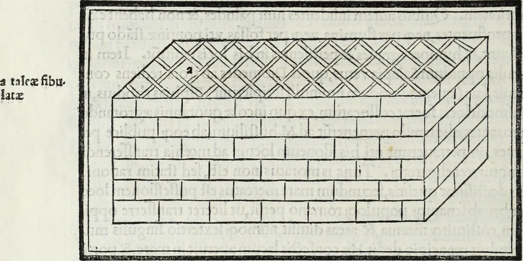 An illustration from M. Vitrvvivs per Iocvndvm solito castigatior factvs cvm figvris et tabvla vt iam legi et intelligi possit, 1511, leaf 25