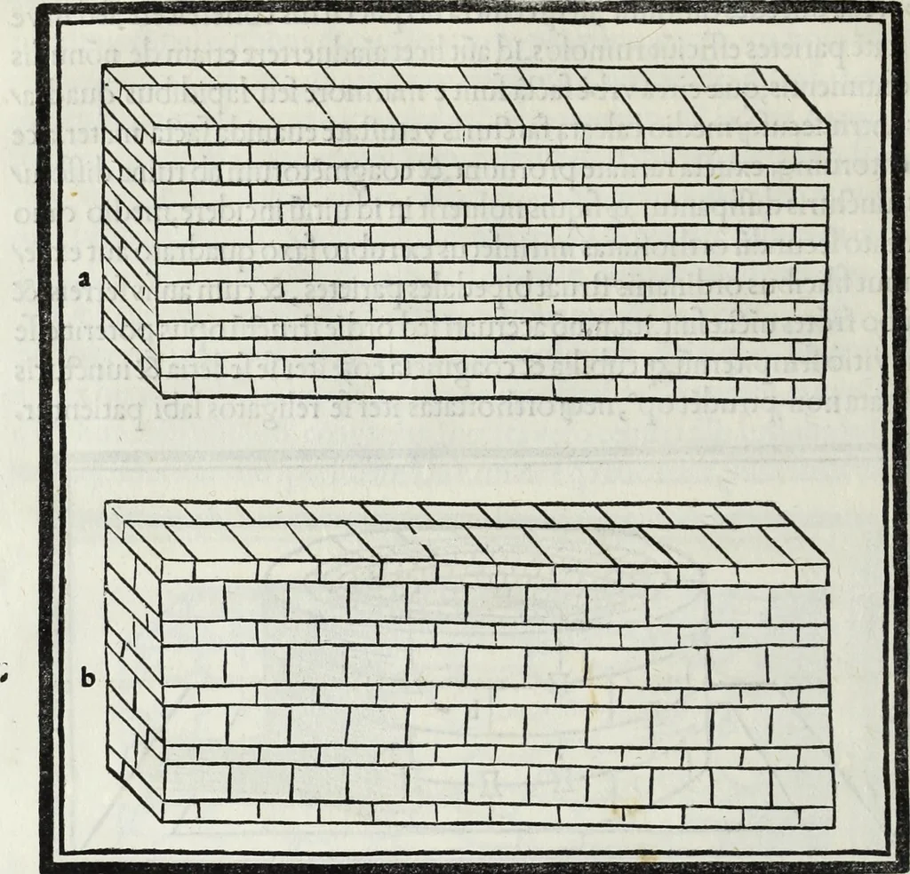 An illustration from M. Vitrvvivs per Iocvndvm solito castigatior factvs cvm figvris et tabvla vt iam legi et intelligi possit, 1511, leaf 45
