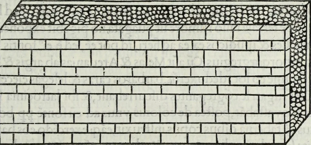 An illustration from M. Vitrvvivs per Iocvndvm solito castigatior factvs cvm figvris et tabvla vt iam legi et intelligi possit, 1511, leaf 46