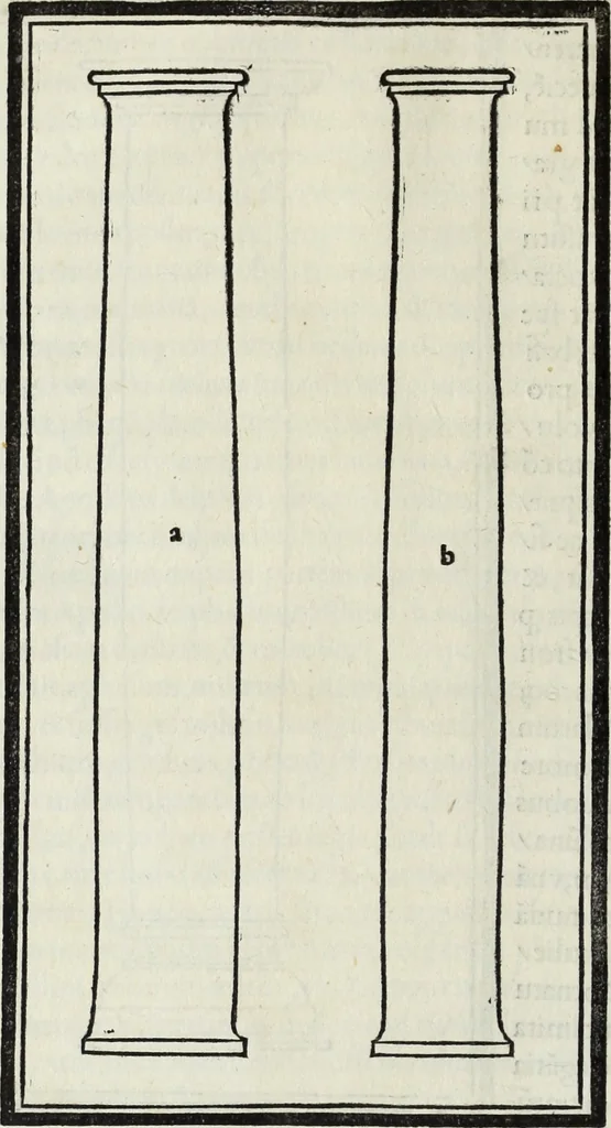 An illustration from M. Vitrvvivs per Iocvndvm solito castigatior factvs cvm figvris et tabvla vt iam legi et intelligi possit, 1511, leaf 77