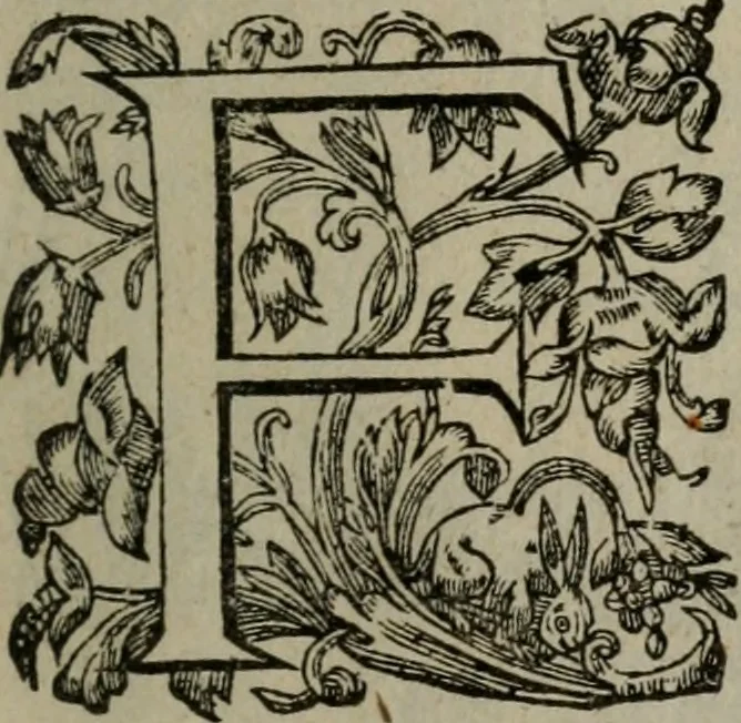 An illustration from Mvndi lapis lydivs, siue Vanitas per veritate falsi accusate & conuicta opera d. Antonii a Bvrgvndia .., 1639, leaf 6