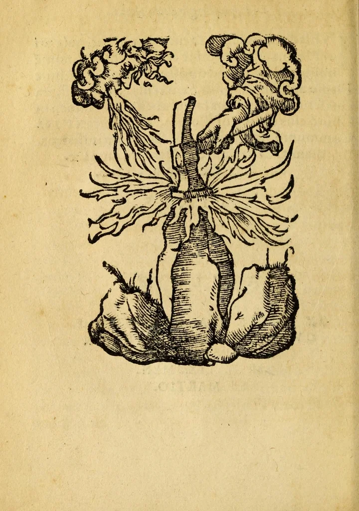 An illustration from Mvsicae epitome ex Glareani Dodechordo vna tum qvinqve melodiis svper eivsdem Glareani Panegyrico de Helveticarum XIII urbium Laudibus, 1559, leaf 122