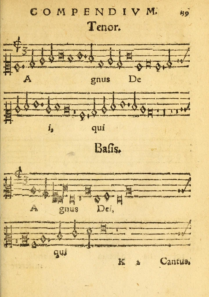 An illustration from Mvsicae epitome ex Glareani Dodechordo vna tum qvinqve melodiis svper eivsdem Glareani Panegyrico de Helveticarum XIII urbium Laudibus, 1559, leaf 157
