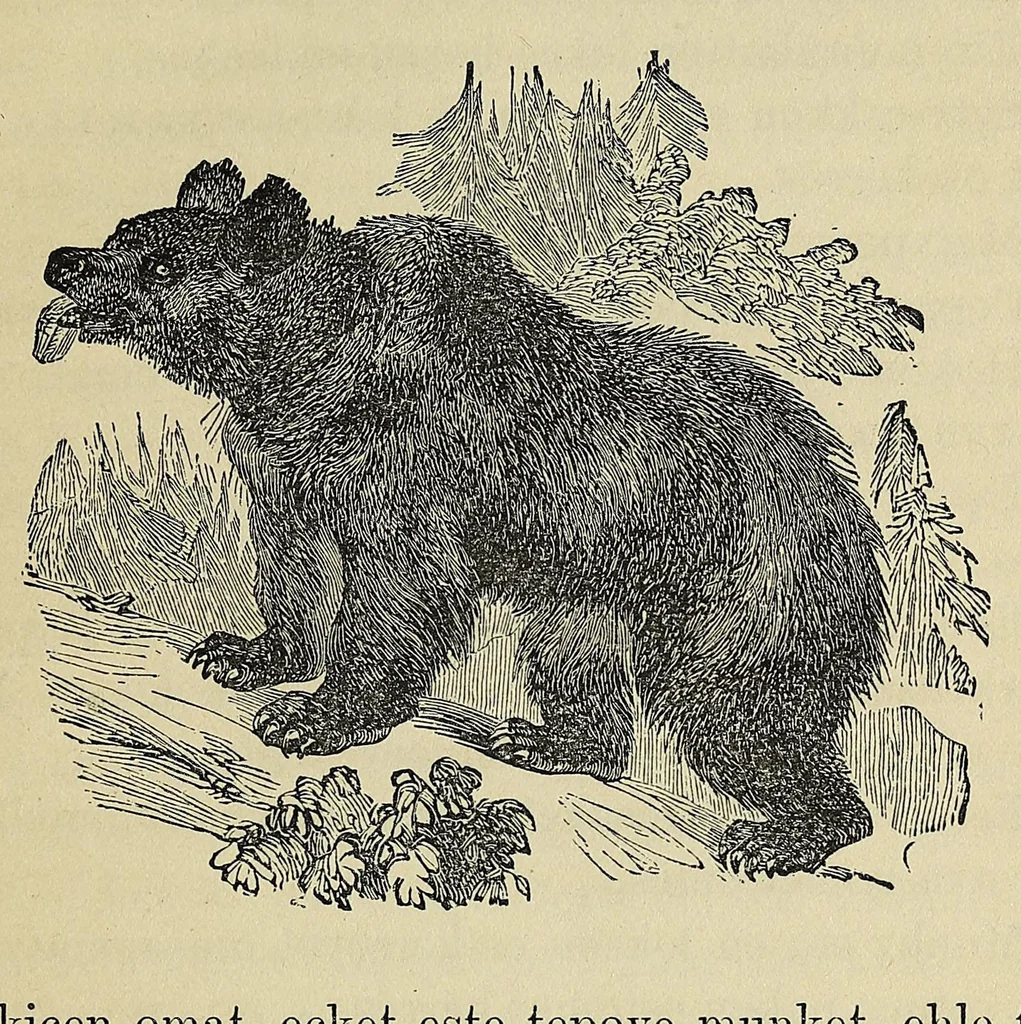 An illustration from Mvskoke nakcokv eskerretv esvhokkolat. Creek second reader, 1871, leaf 33