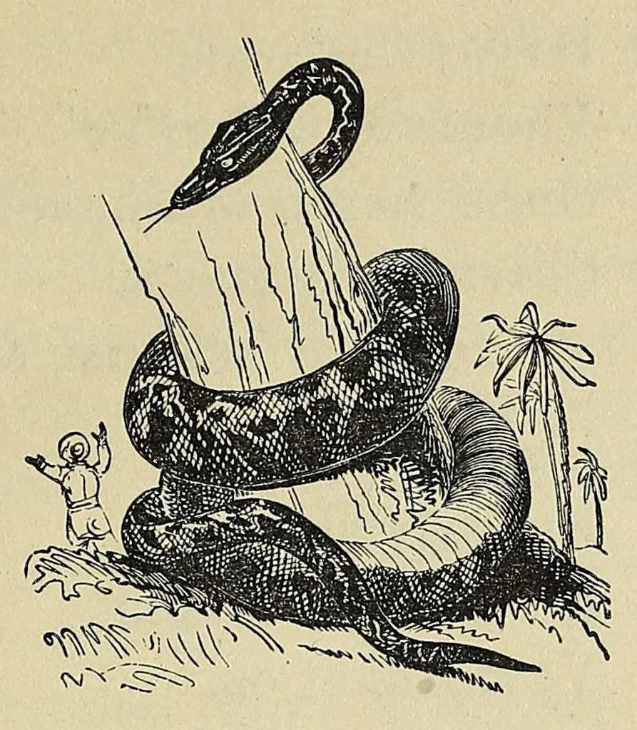 An illustration from Mvskoke nakcokv eskerretv esvhokkolat. Creek second reader, 1871, leaf 81