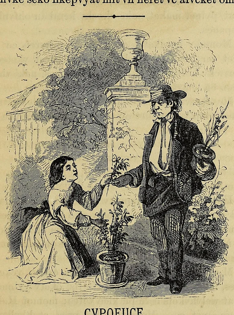 An illustration from Mvskoke nakcokv eskerretv esvhokkolat. Creek second reader, 1800, leaf 73