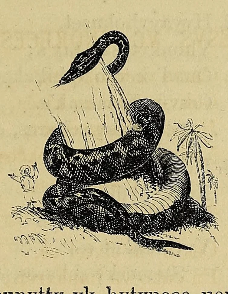 An illustration from Mvskoke nakcokv eskerretv esvhokkolat. Creek second reader, 1800, leaf 81