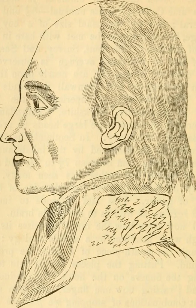 An illustration from My battle for life. The autobiography of a phrenologist, 1857, leaf 347