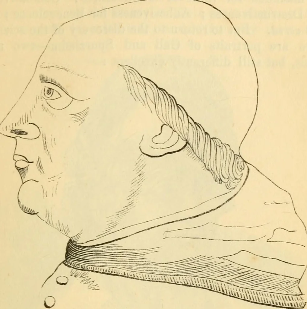 An illustration from My battle for life. The autobiography of a phrenologist, 1857, leaf 348