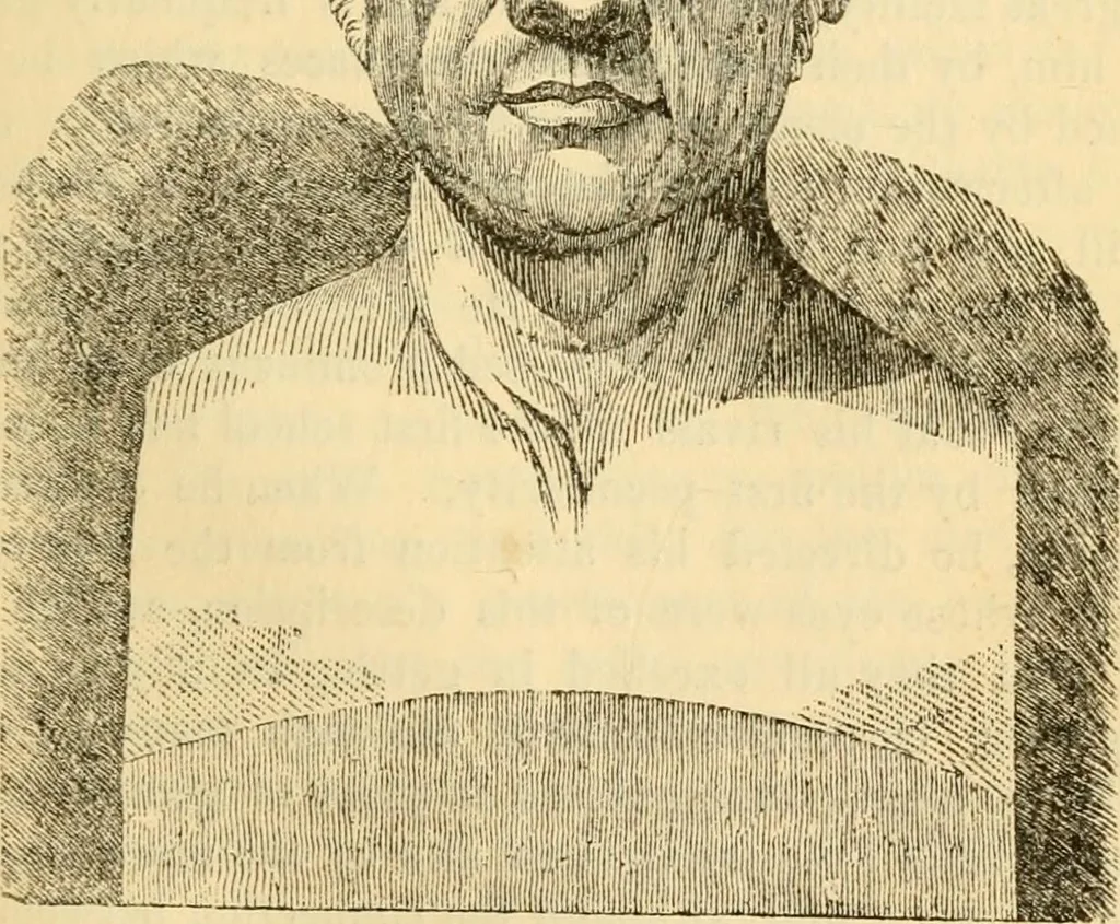 An illustration from My battle for life. The autobiography of a phrenologist, 1857, leaf 350