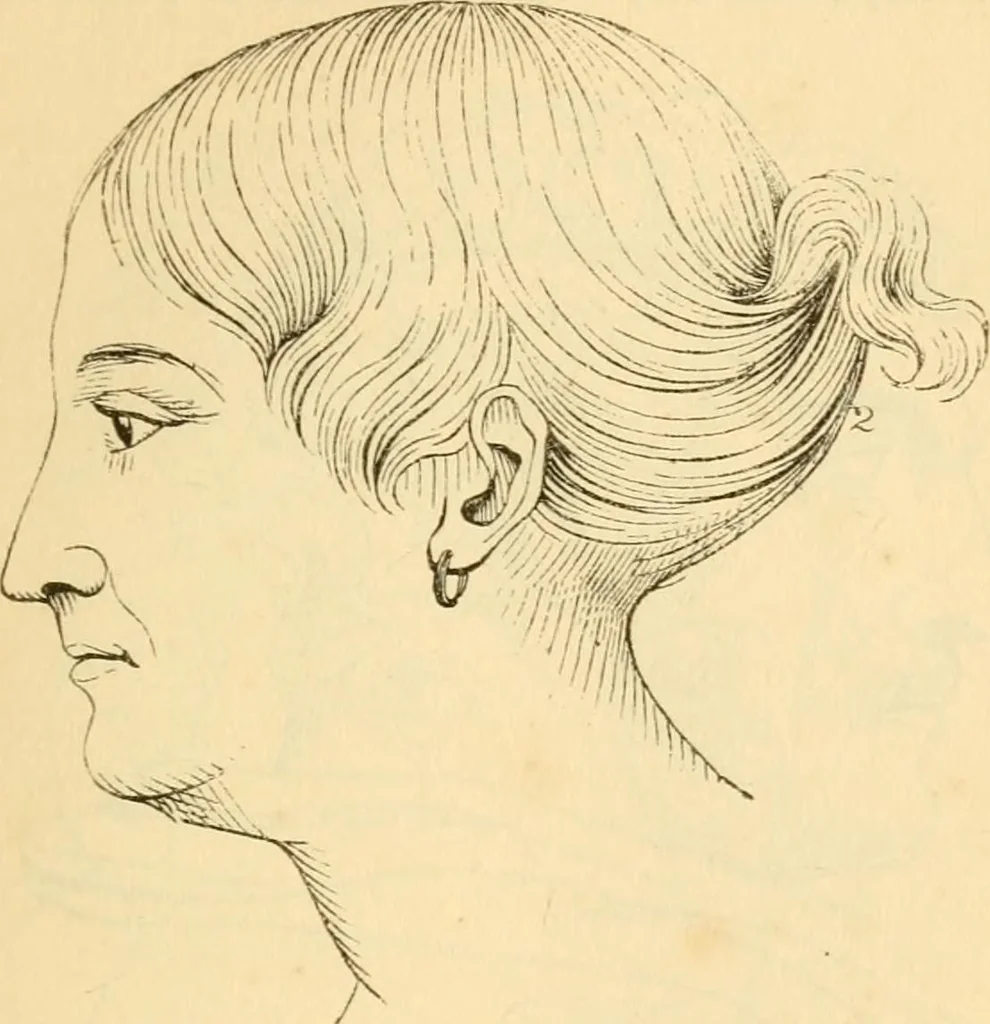 An illustration from My battle for life. The autobiography of a phrenologist, 1857, leaf 356