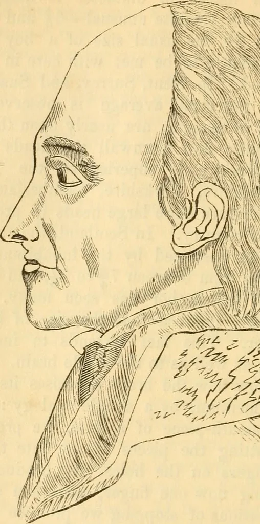An illustration from My battle for life. The autobiography of a phrenologist, 1857, leaf 451