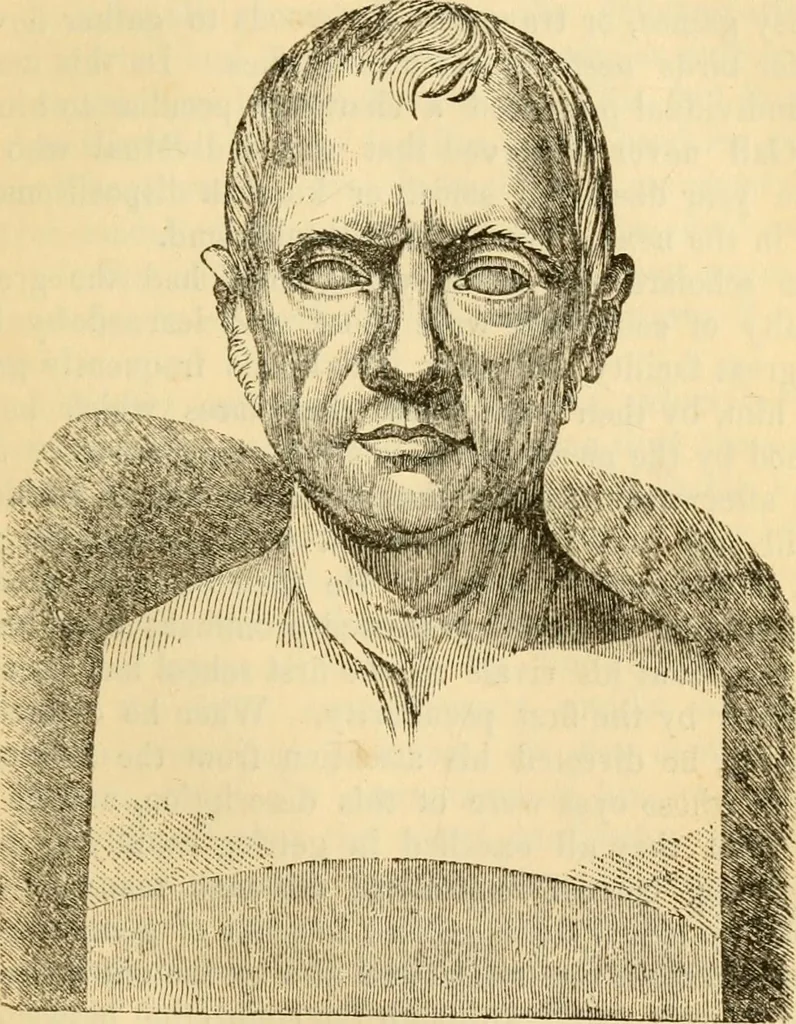 An illustration from My battle for life. The autobiography of a phrenologist, 1857, leaf 454