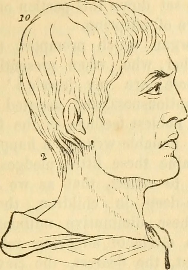 An illustration from My battle for life. The autobiography of a phrenologist, 1857, leaf 498