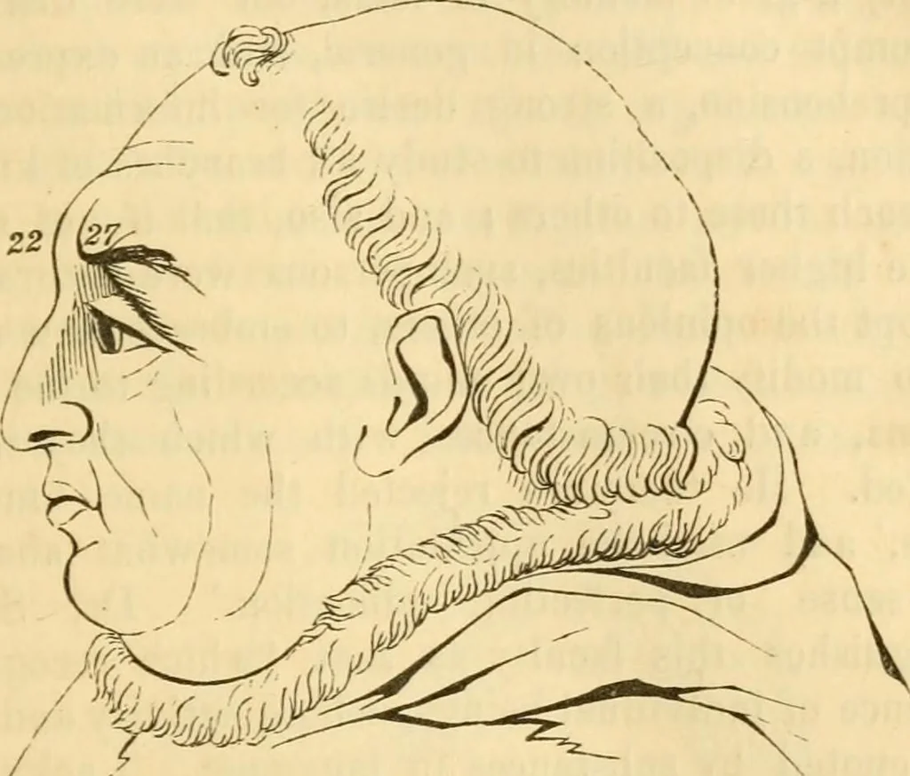 An illustration from My battle for life. The autobiography of a phrenologist, 1857, leaf 708