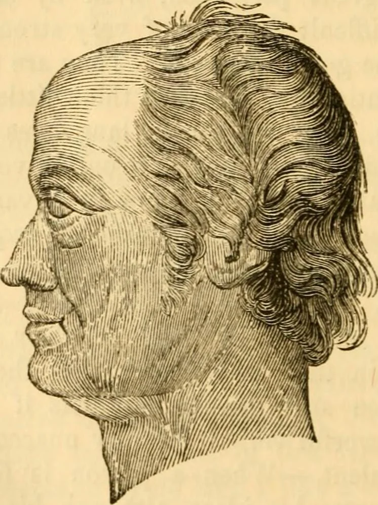 An illustration from My battle for life. The autobiography of a phrenologist, 1857, leaf 733