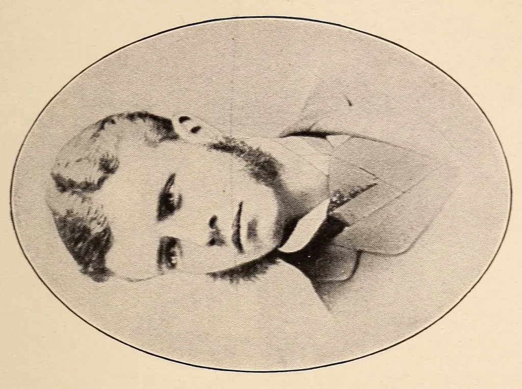 An illustration from My brother, Theodore Roosevelt, 1921, leaf 127