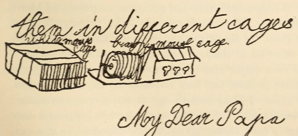 An illustration from My brother, Theodore Roosevelt, 1921, leaf 69