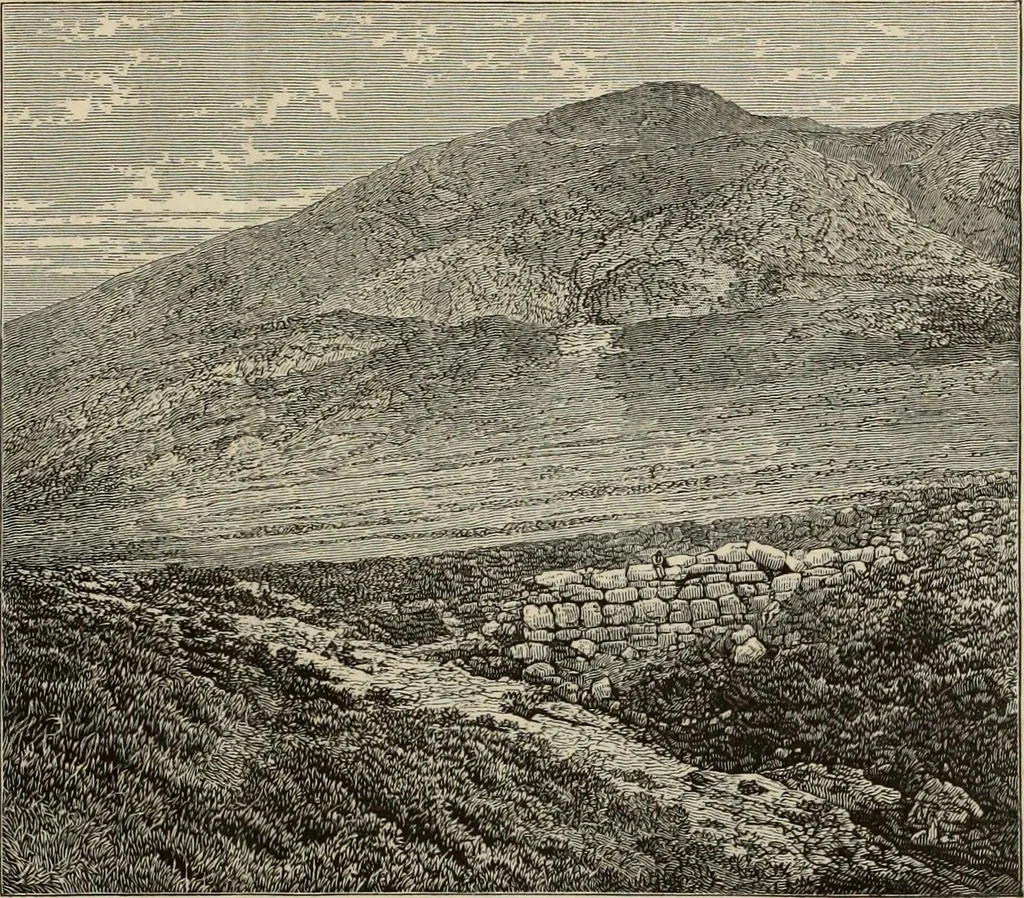 An illustration from Mycenae : a narrative of researches and discoveries at Mycenae and Tiryns, 1878, leaf 100