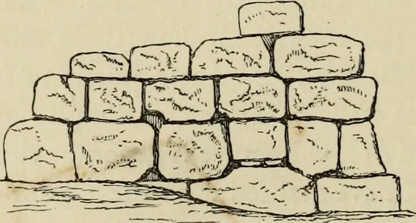 An illustration from Mycenae : a narrative of researches and discoveries at Mycenae and Tiryns, 1878, leaf 108