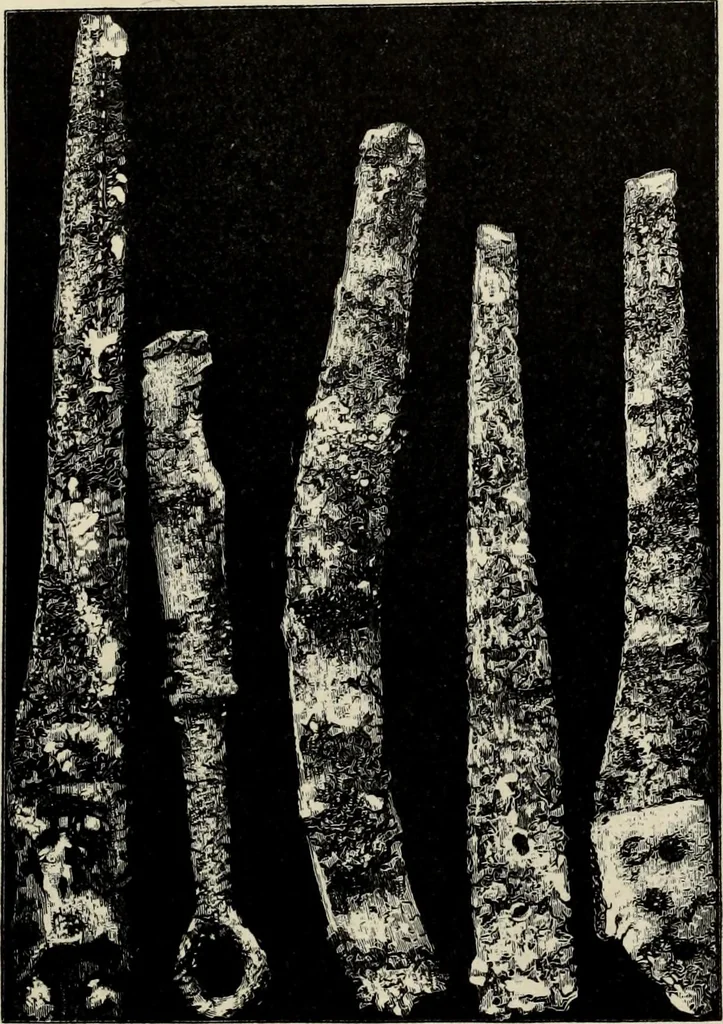 An illustration from Mycenae : a narrative of researches and discoveries at Mycenae and Tiryns, 1878, leaf 157