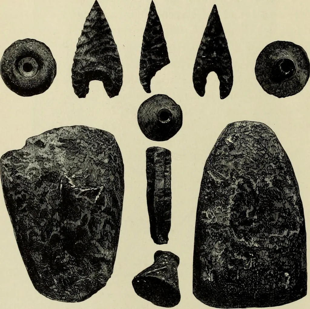 An illustration from Mycenae : a narrative of researches and discoveries at Mycenae and Tiryns, 1878, leaf 158
