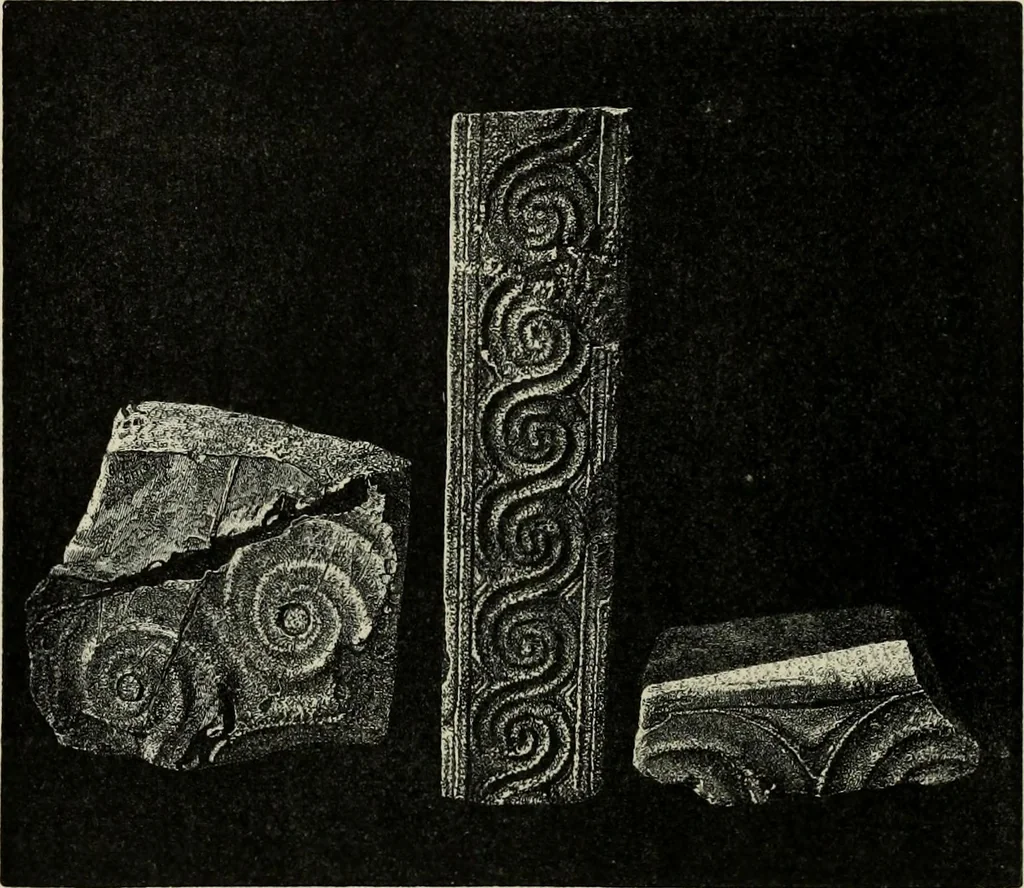An illustration from Mycenae : a narrative of researches and discoveries at Mycenae and Tiryns, 1878, leaf 180
