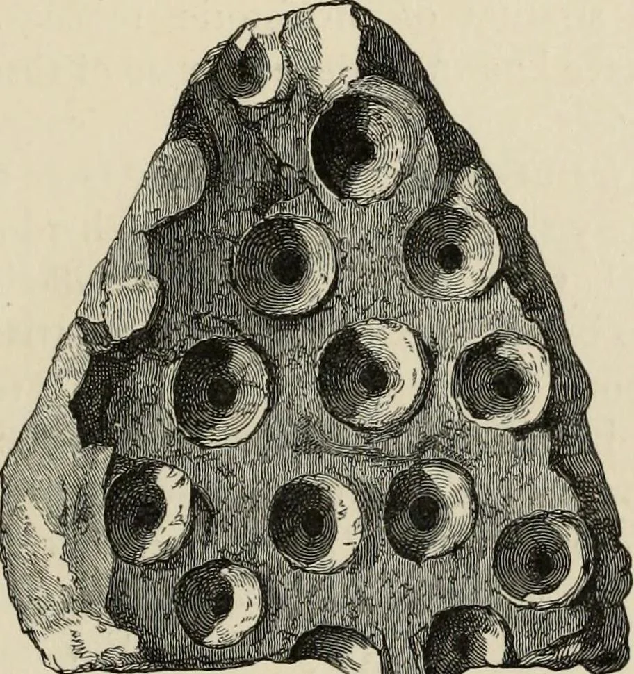 An illustration from Mycenae : a narrative of researches and discoveries at Mycenae and Tiryns, 1878, leaf 183
