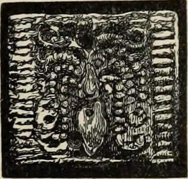 An illustration from Mycenae : a narrative of researches and discoveries at Mycenae and Tiryns, 1878, leaf 191