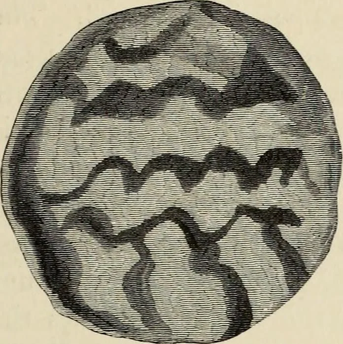 An illustration from Mycenae : a narrative of researches and discoveries at Mycenae and Tiryns, 1878, leaf 197