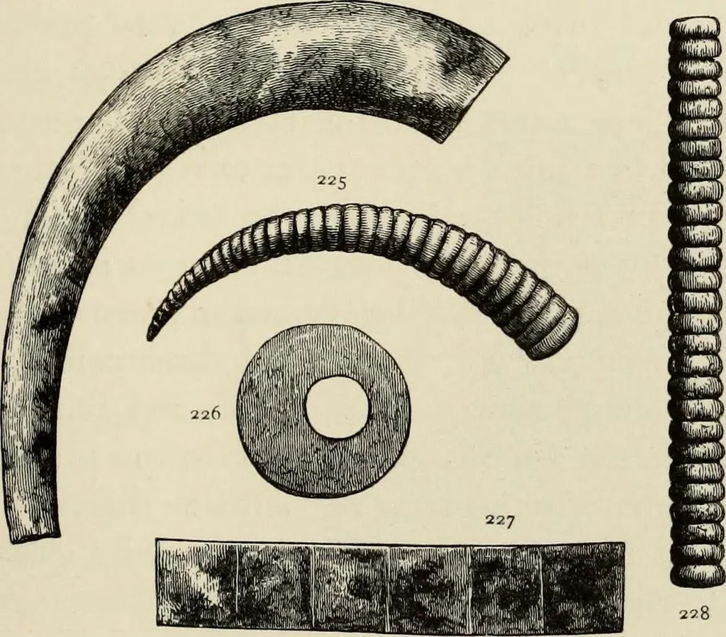 An illustration from Mycenae : a narrative of researches and discoveries at Mycenae and Tiryns, 1878, leaf 241
