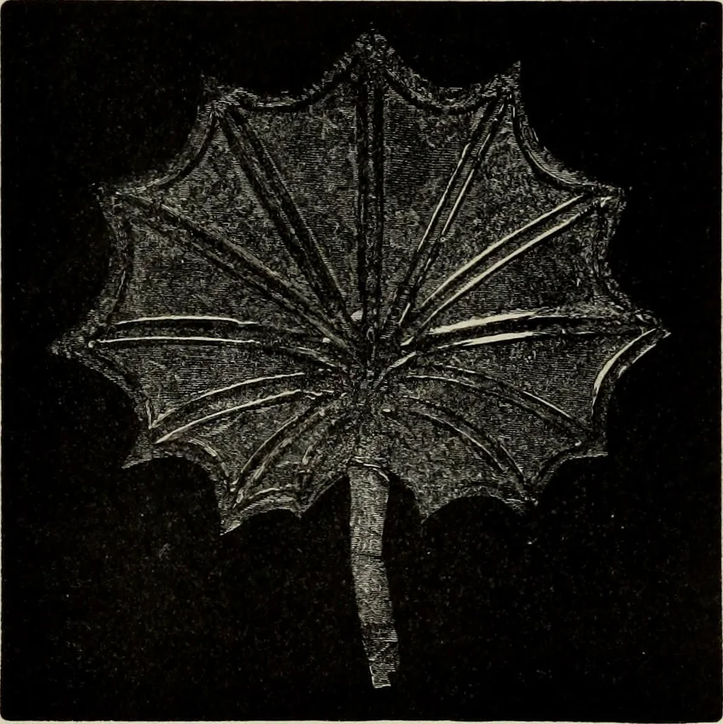 An illustration from Mycenae : a narrative of researches and discoveries at Mycenae and Tiryns, 1878, leaf 259