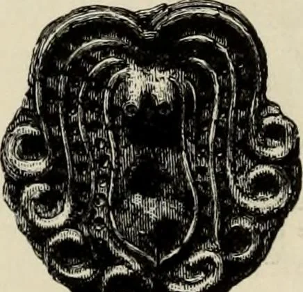 An illustration from Mycenae : a narrative of researches and discoveries at Mycenae and Tiryns, 1878, leaf 269