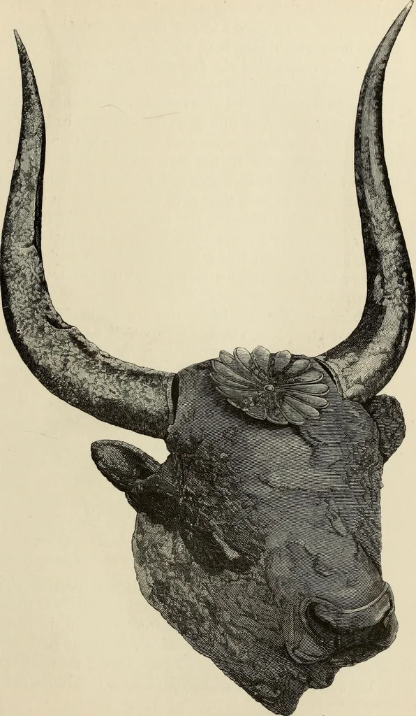 An illustration from Mycenae : a narrative of researches and discoveries at Mycenae and Tiryns, 1878, leaf 305