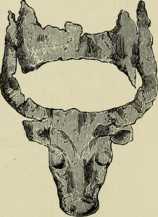 An illustration from Mycenae : a narrative of researches and discoveries at Mycenae and Tiryns, 1878, leaf 306